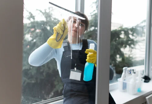 Nettoyage de vitres intérieures et extérieures à Lavoux